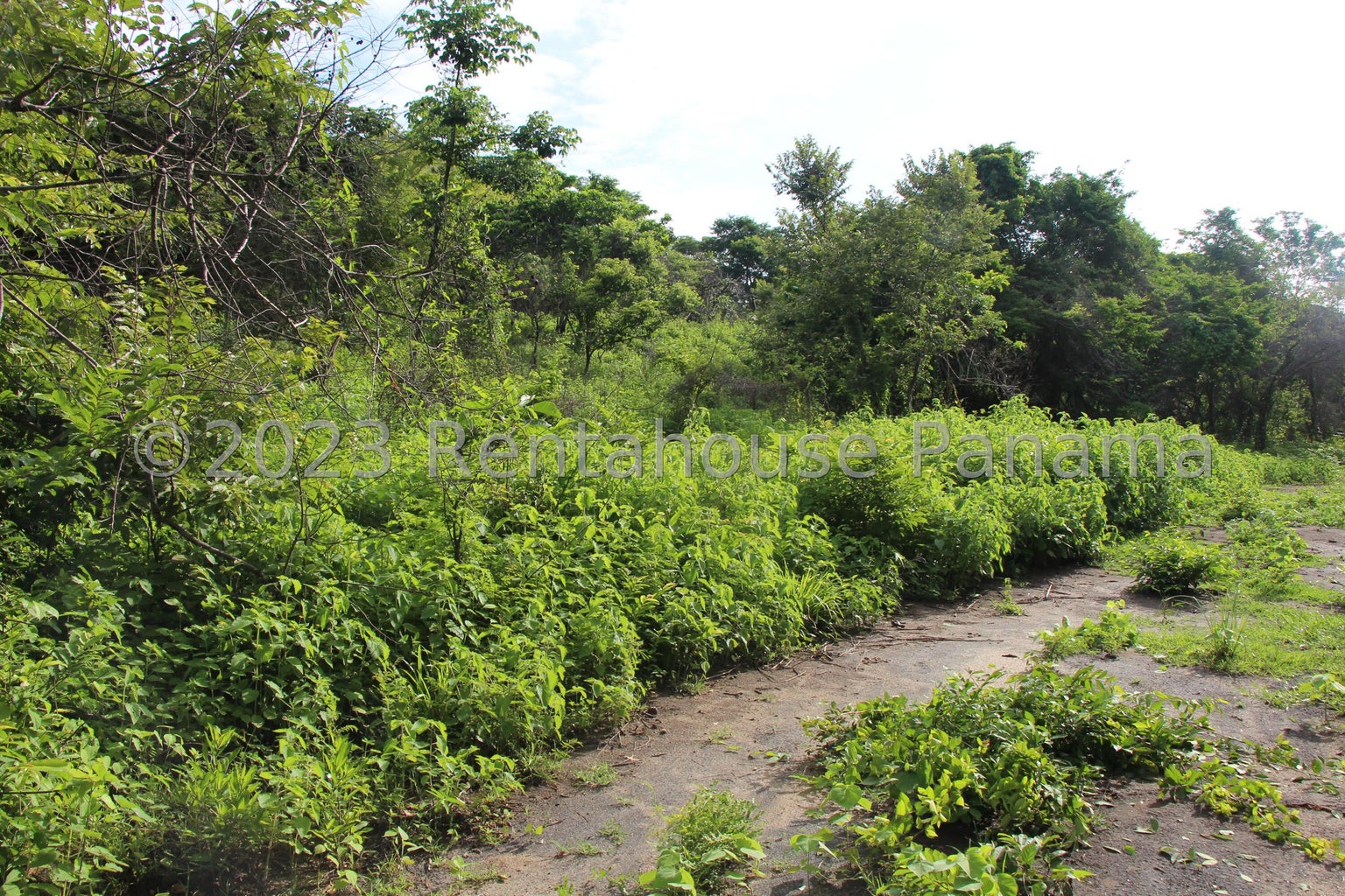 Commercial Property for Sale in Panama City Panamá Province